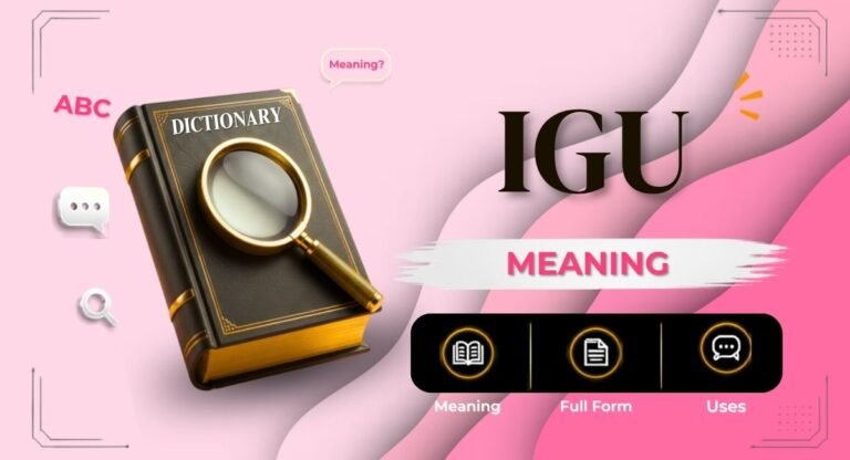 IGU Meaning