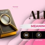 ALR Meaning